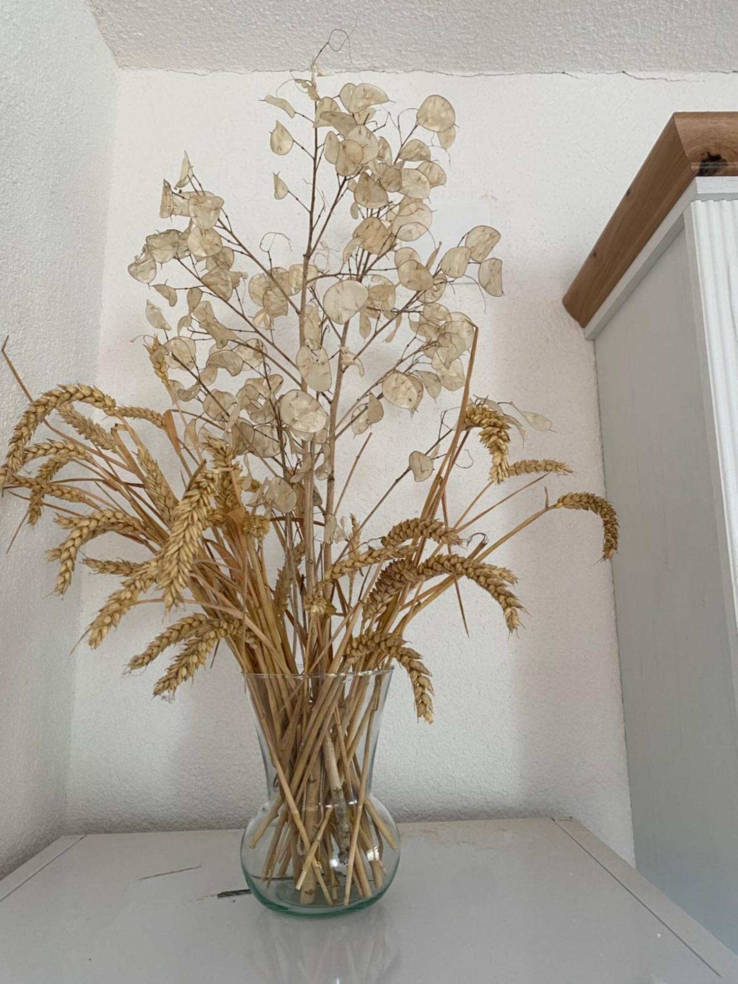 Apartman Kremen Kuterevo Εξωτερικό φωτογραφία