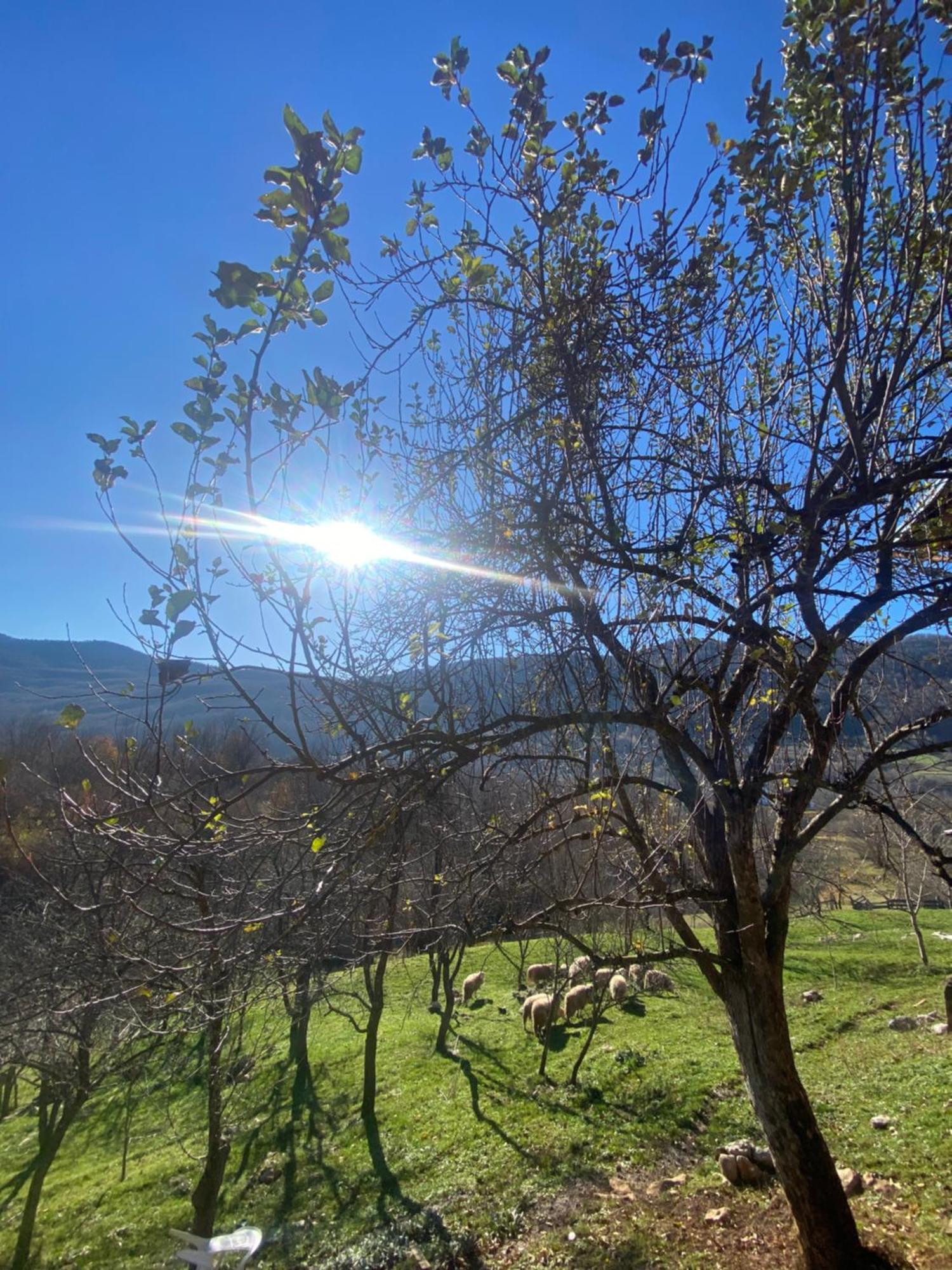 Apartman Kremen Kuterevo Εξωτερικό φωτογραφία